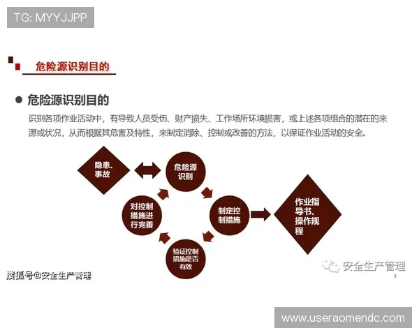 大阳城集团投资项目的评估标准与风险控制体系建设